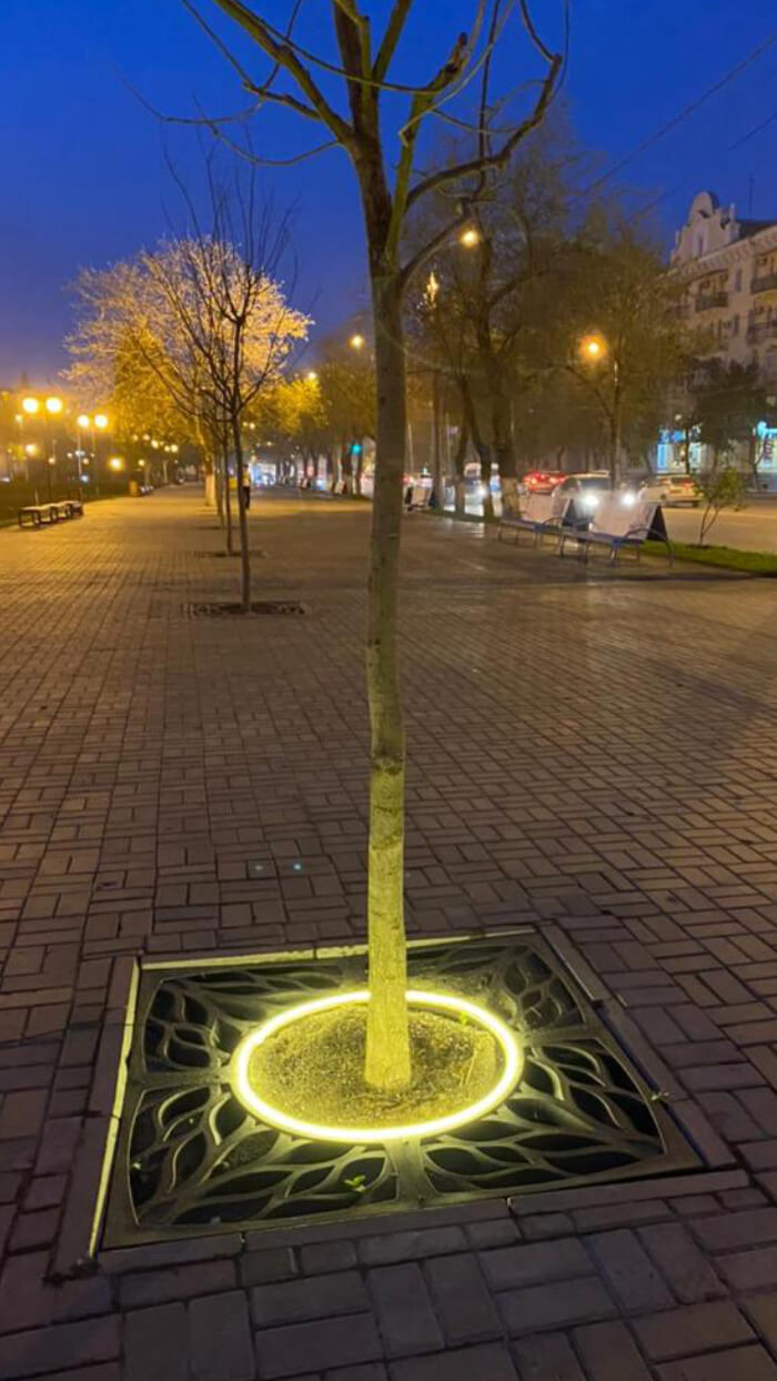 Приствольная решетка для дерева ZKING CRUST 1.2х1.2м Черная в Одинцово фото